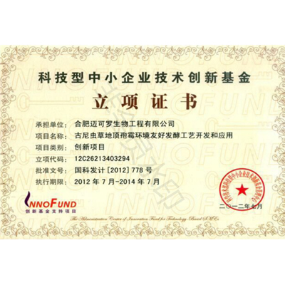 科技型中小企业技术创新基金