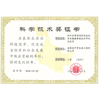 科学技术奖证书 二等（进步）