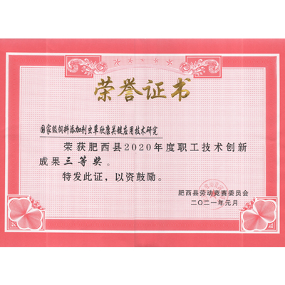 肥西县2020年度职工技术成果创新 三等奖