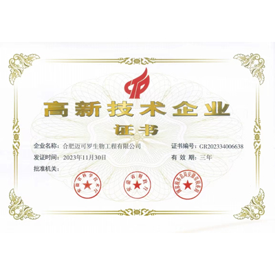 高新技术企业证书