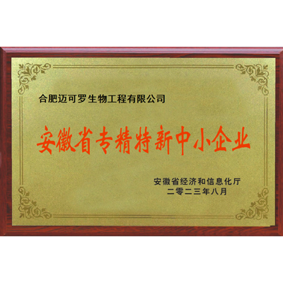 专精特新中小企业